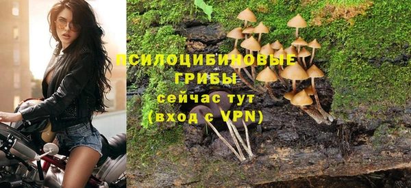 PSILOCYBIN Беломорск